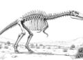 Neuer Langhals-Dinosaurier in Spanien entdeckt