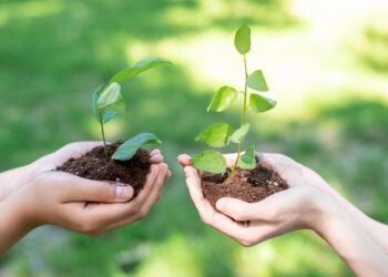 Bundesamt für Naturschutz verleiht erstmals Deutschen Jugend-Naturschutzpreis